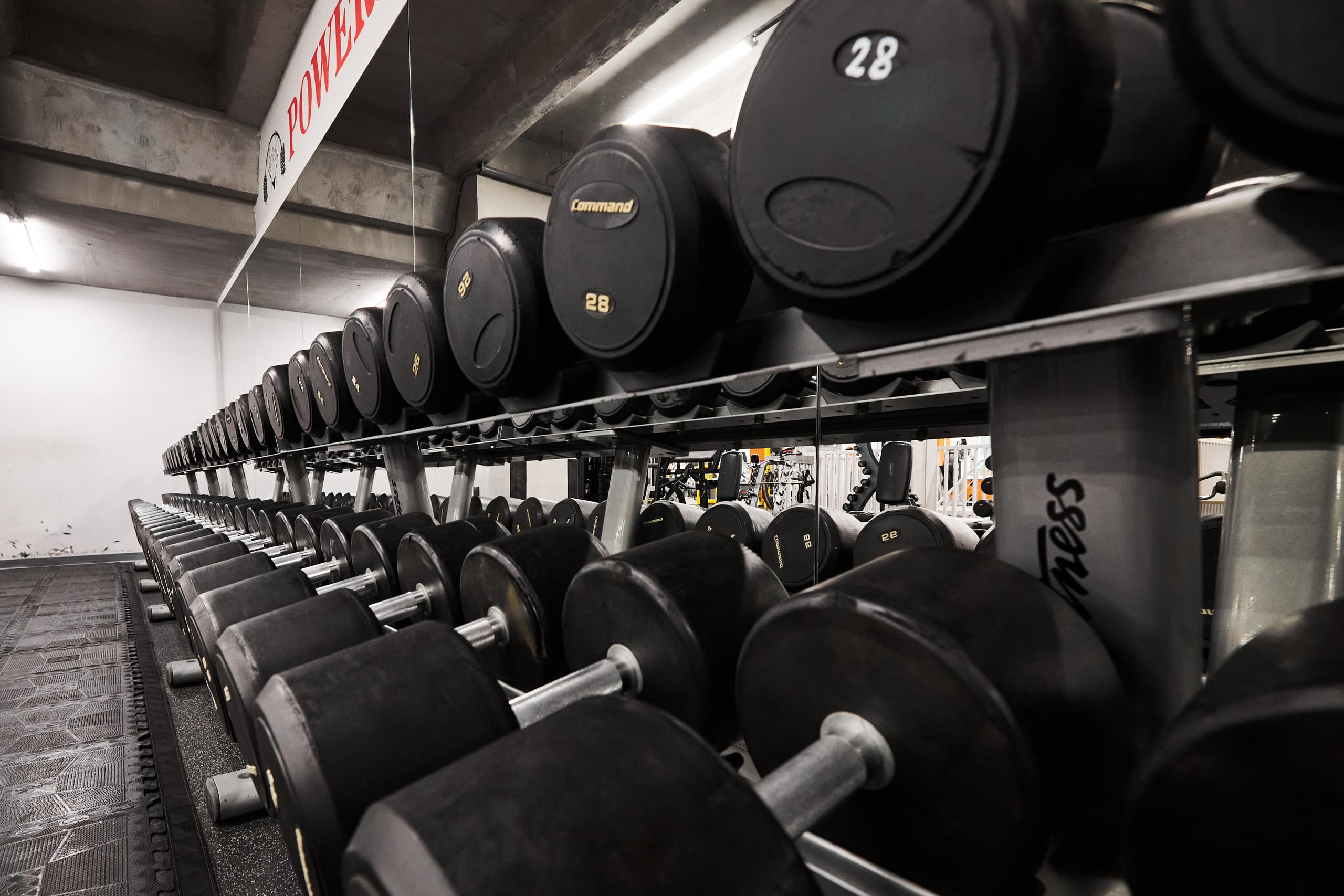 Зона свободных весов