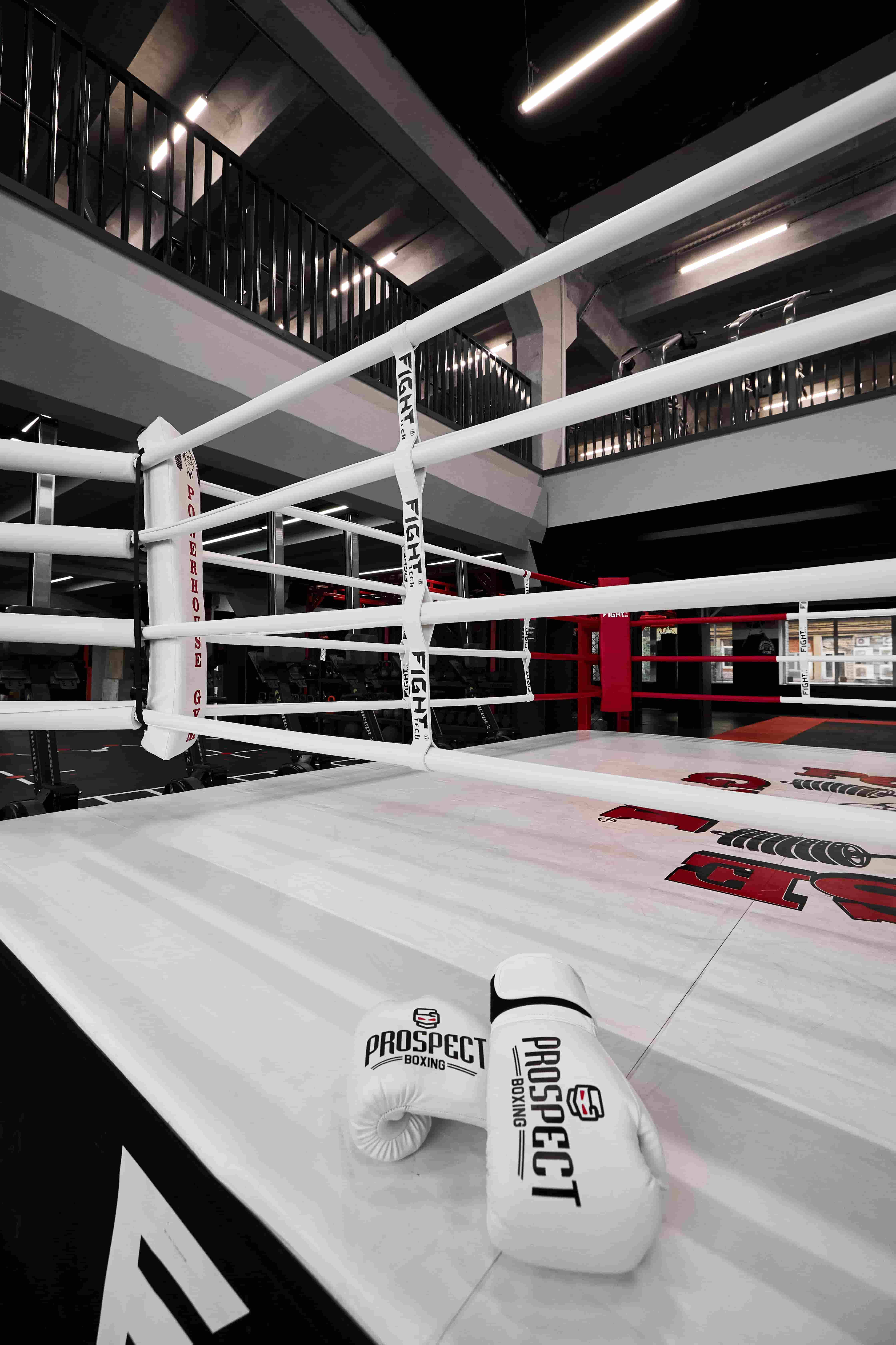 Бокс с чемпионкой Европы