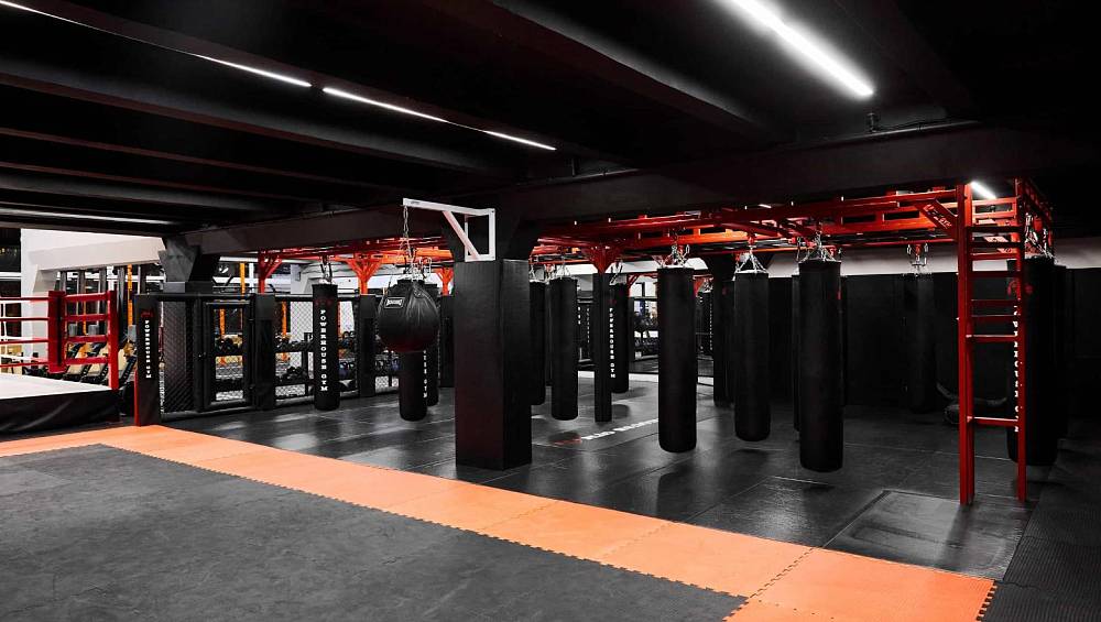 Зона единоборств