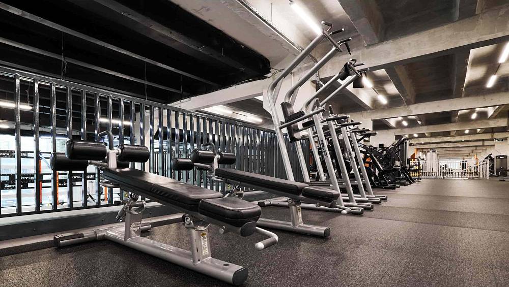 Зона пауэрлифтинга